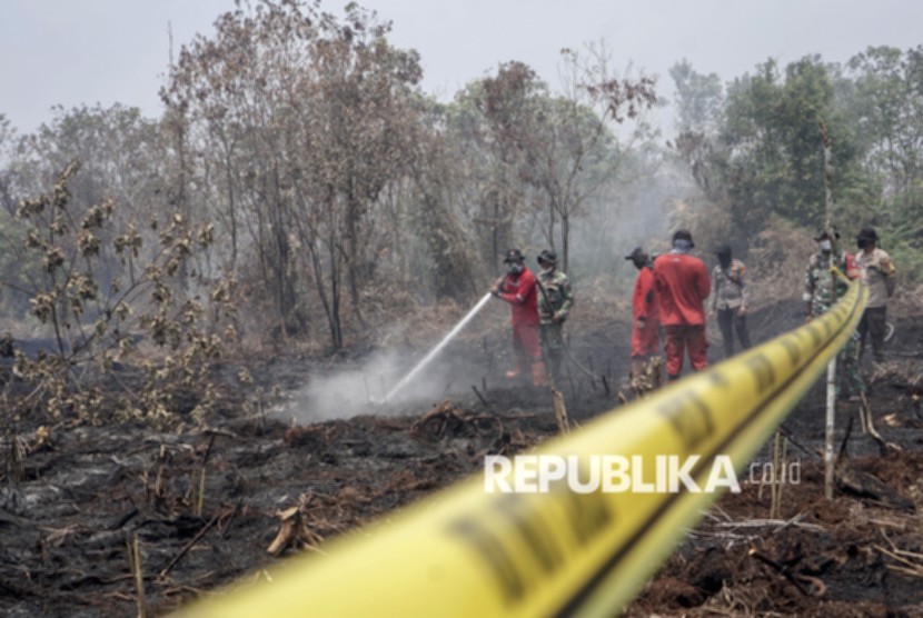 Petugas gabungan berupaya memadamkan kebakaran hutan dan lahan di wilayah prioritas Indonesia.