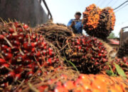 Rupiah Melemah, Sektor Industri Ini Justru Berpeluang Raup Keuntungan