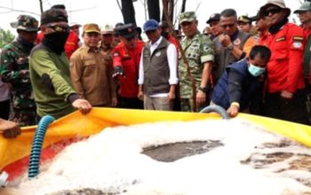 Kemenhut Sanksi Enam Perusahaan Akibat Karhutla Berulang di Lahan Konsesi