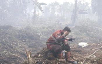Menteri Kehutanan Usut Tuntas Tiga Kasus Kebakaran Hutan Jambi