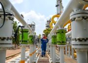 Presiden Prabowo Subianto saat meresmikan proyek pembangunan PLTS berkapasitas 100 GW di Bali.