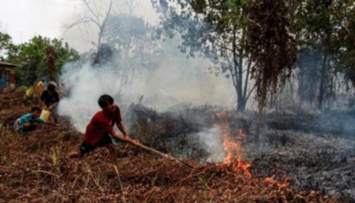 Kemenhut Sanksi 6 Perusahaan Akibat Kebakaran 1.511 Hektare Lahan Kalimantan