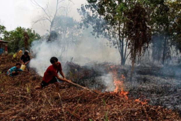 Ilustrasi kebakaran hutan dan lahan di wilayah Kalimantan yang sedang dalam penanganan petugas.