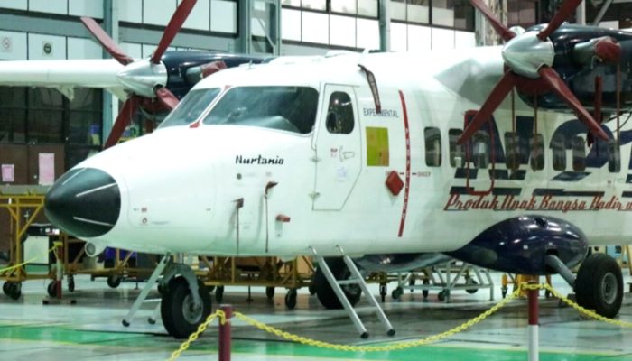 PTDI Bidik Pasar Global N219, Incar Segmen Pesawat 19 Penumpang
