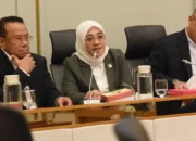 Karhutla Capai 107 Ribu Hektare, Anggota DPR Desak Kemenhut Perkuat Pencegahan
