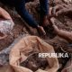 Dua warga negara China tersangka tambang emas ilegal di kawasan hutan Bolaang Mongondow, Sulawesi Utara.