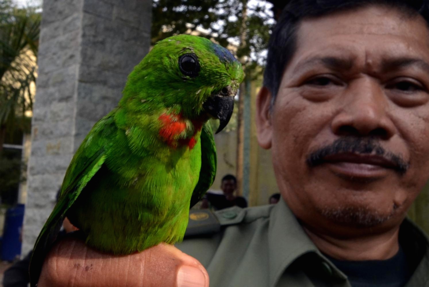 Petugas BKSDA Jambi memeriksa kotak berisi burung selundupan yang diamankan dalam operasi di Muaro Jambi.