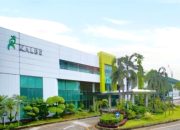 Kalbe Farma Siapkan Dana Rp500 Miliar untuk Buyback Saham