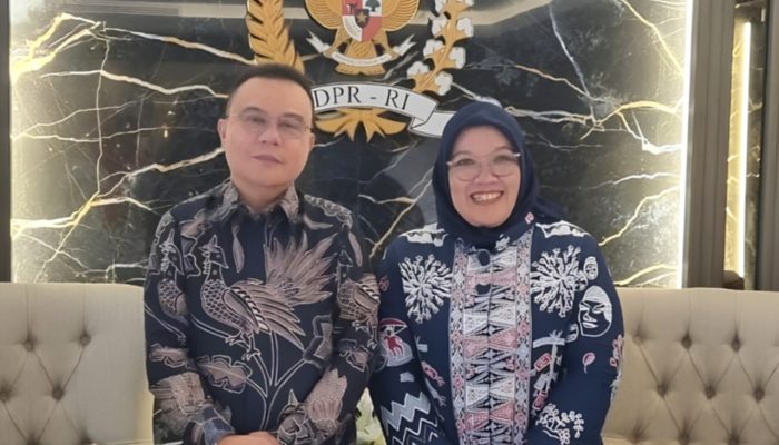6 Poin Hasil Pertemuan Pimpinan PPPK dengan Dasco dan Mensesneg