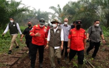 Raja Juli Ditagih Larang Sawit di Lahan Bekas Kebakaran
