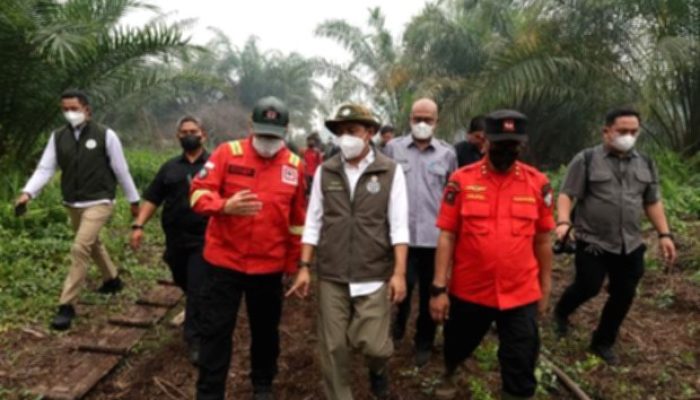 Raja Juli Ditagih Larang Sawit di Lahan Bekas Kebakaran