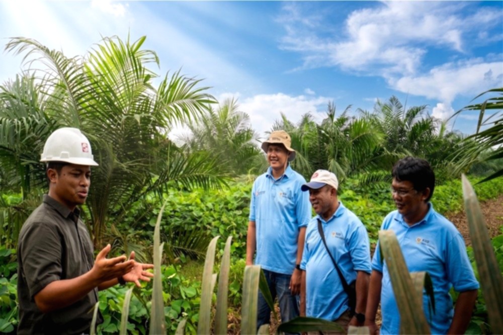 Sinar Mas Agribusiness and Food mendampingi KUD Sadar Sejahtera dalam program Peremajaan Sawit Rakyat di Musi Rawas.
