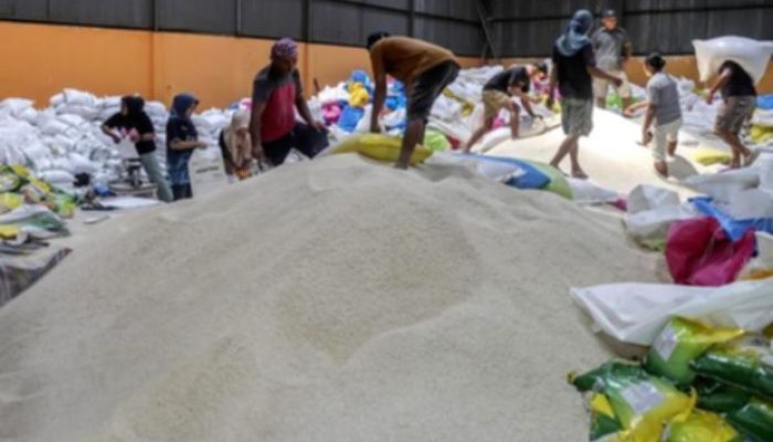 Ironi Swasembada Beras: Stok Surplus Namun Harga Melampaui HET