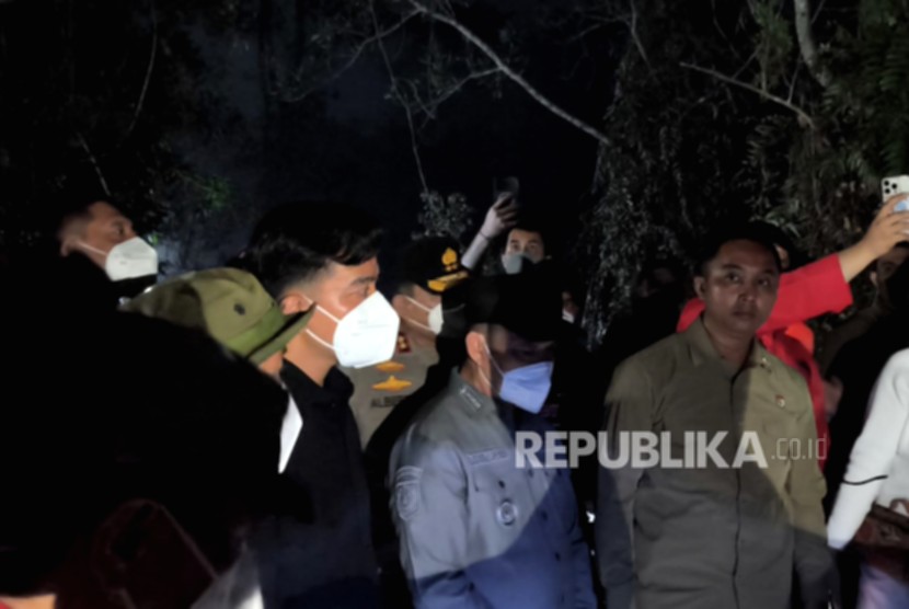 Asap tebal menyelimuti kawasan hutan yang terbakar di wilayah Kalimantan