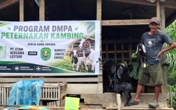Program Desa Bebas Api Jaga Kelestarian Lingkungan dan Ekonomi Warga