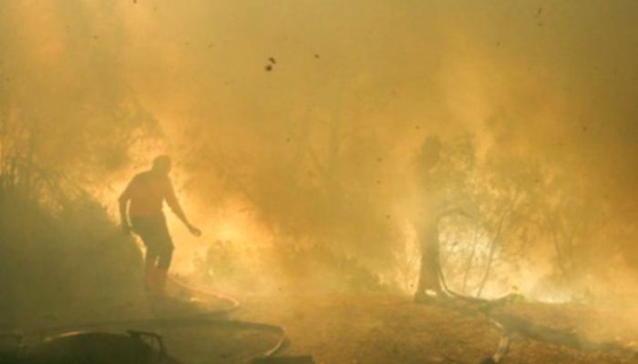 Karhutla Kawah Ijen Mereda, Pemadaman Udara Masih Terus Dilakukan