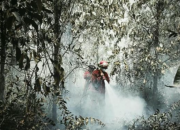 Kabut asap tebal menyelimuti kawasan hutan dan lahan di wilayah Sumatra dan Kalimantan