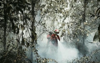 Hotspot Karhutla Menurun, Kabut Asap Masih Selimuti Sumatra dan Kalimantan