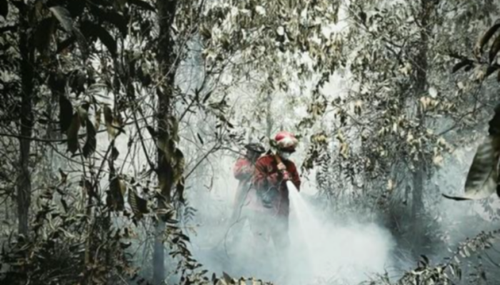 Hotspot Karhutla Menurun, Kabut Asap Masih Selimuti Sumatra dan Kalimantan