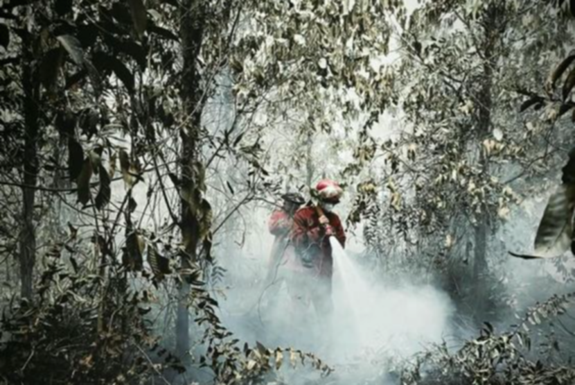 Kabut asap tebal menyelimuti kawasan hutan dan lahan di wilayah Sumatra dan Kalimantan