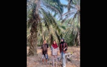 Peran Mantri BRI Perluas Akses Keuangan di Pelosok Sumatera Selatan