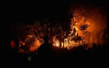 Walhi Sorot Risiko Masyarakat Jadi Kambing Hitam Inpres Larangan Bakar