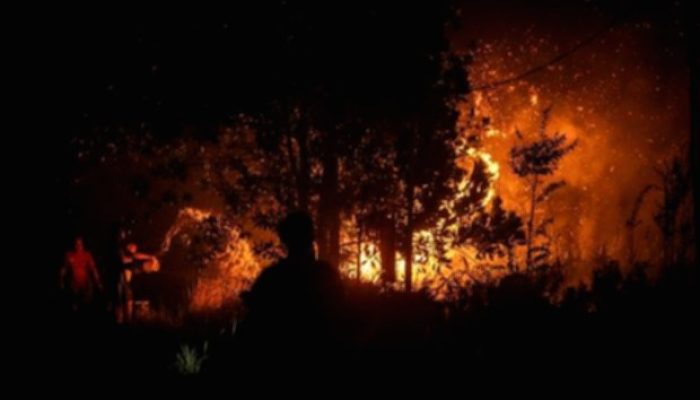 Walhi Sorot Risiko Masyarakat Jadi Kambing Hitam Inpres Larangan Bakar