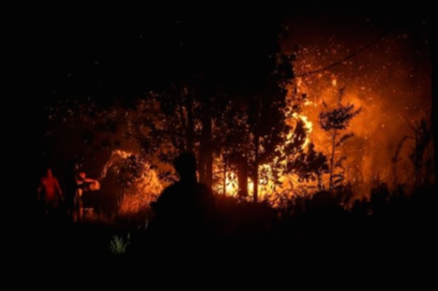 Ilustrasi kebakaran hutan dan lahan di Indonesia yang menjadi sorotan Walhi