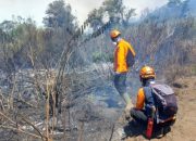 Petugas gabungan memantau kawasan lahan yang terdampak kebakaran di lereng Gunung Semeru