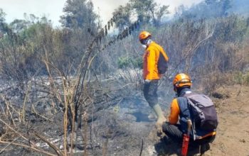 Karhutla Gunung Semeru Padam, 3.072 Hektare Lahan Terdampak