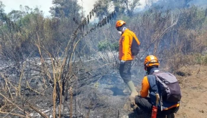 Karhutla Gunung Semeru Padam, 3.072 Hektare Lahan Terdampak