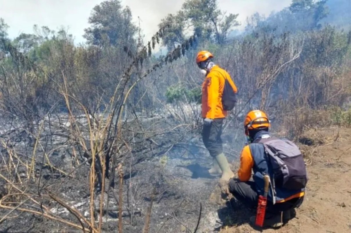 Petugas gabungan memantau kawasan lahan yang terdampak kebakaran di lereng Gunung Semeru