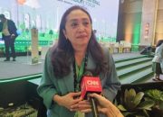 viriyaenb-bicara-solusi-polusi-jakarta:-tak-bisa-andalkan-satu-pemda